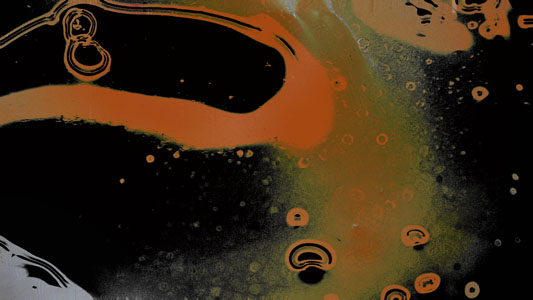 Cytoplasm2