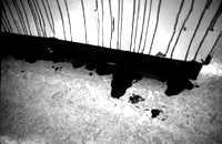 Killing1